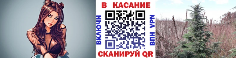 Купить закладку АМФЕТАМИН  Конопля  A PVP  МЕФ  Галлюциногенные грибы  Гашиш  Талица