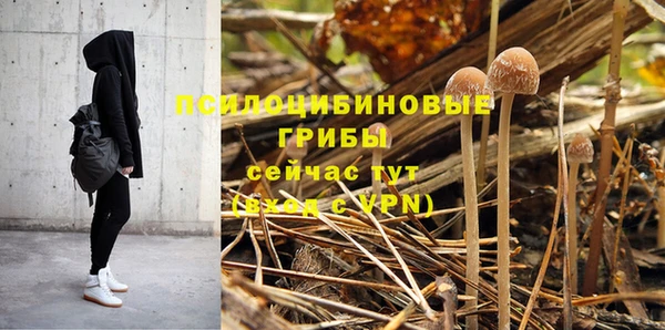 MESCALINE Елизово
