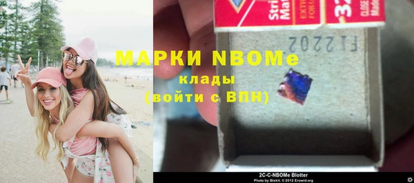 ГАЛЛЮЦИНОГЕННЫЕ ГРИБЫ Гусев