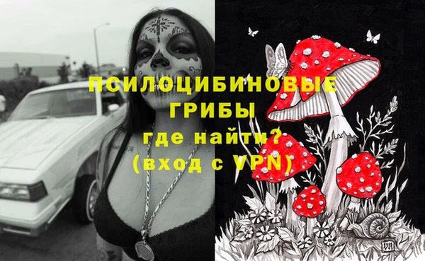mdpv Ельня