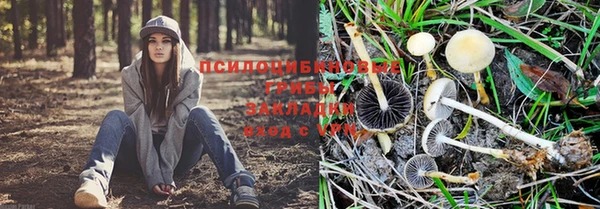 mdpv Ельня