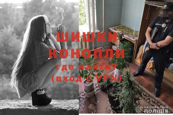 MESCALINE Елизово