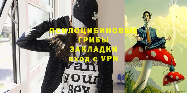 гашик Елабуга